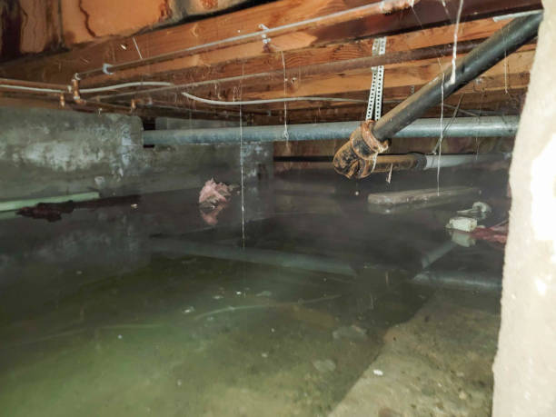 Best 24/7 water damage repair  in Allouez, WI