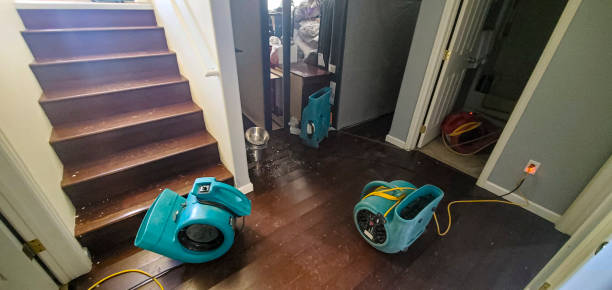 Best Carpet water damage restoration  in Allouez, WI
