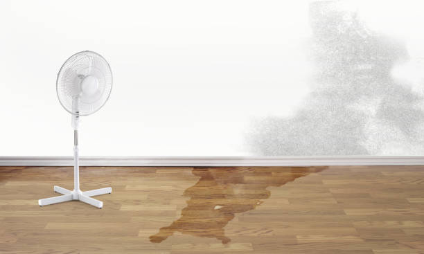Best Emergency water extraction  in Allouez, WI