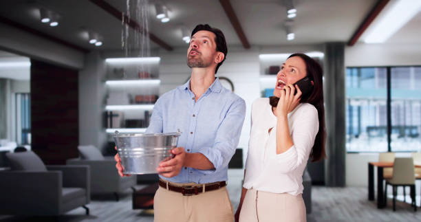  Allouez, WI Water damage restoration Pros